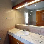 Begonias By Escape Willa *