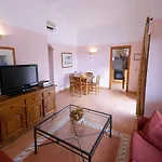 Begonias By Escape *