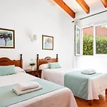 Begonias By Escape *