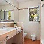 Begonias By Escape Willa *