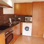 Begonias By Escape *