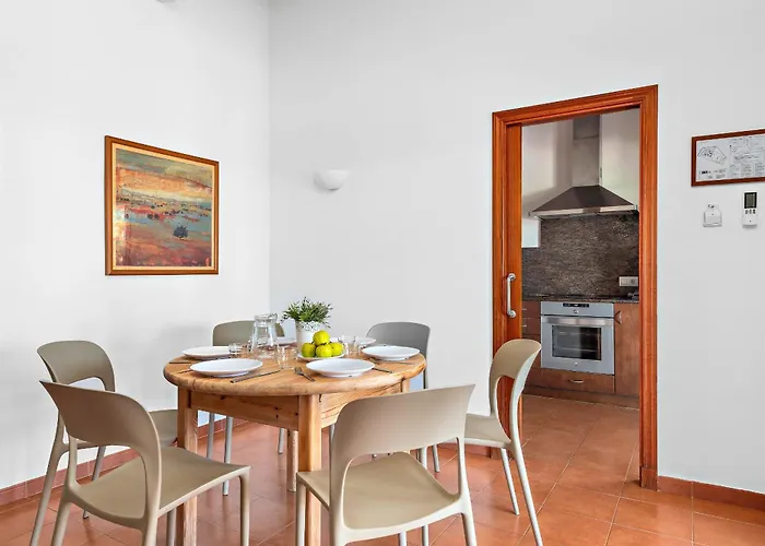 Begonias Cala'N Bosch (Menorca)